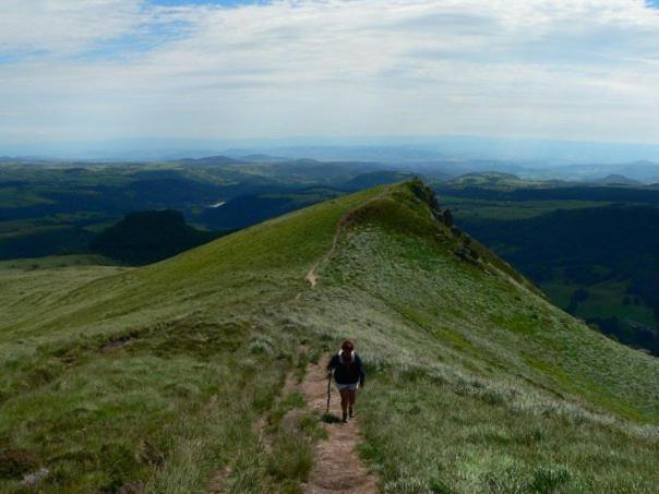 Nid Sous Le Volcan Saint-Sandoux Kültér fotó